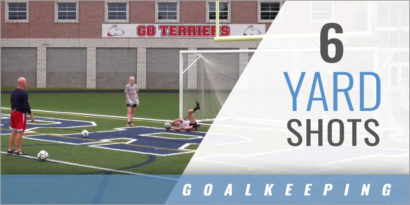 Goalkeeper: 6 Yard Shots