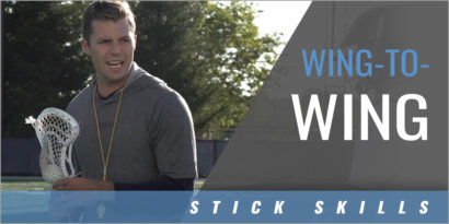 Wing-To-Wing Stick Protection