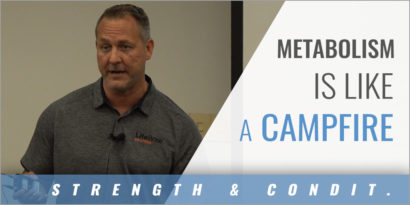 Metabolism Is Like a Campfire