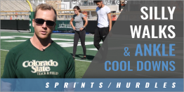 Silly Walks Foot and Ankle Cool Down Drills